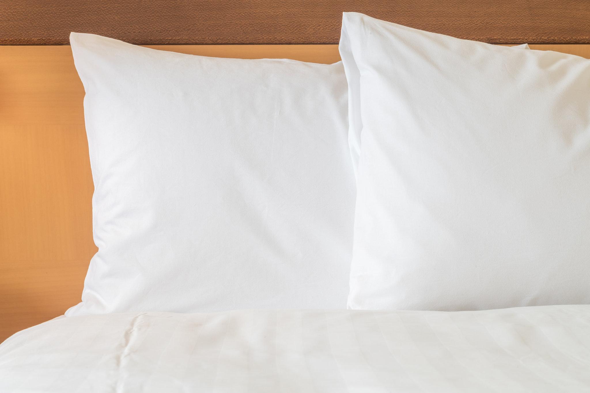 Hampton Inn & Suites Orlando-John Young Parkway/South Park Williamsburg Eksteriør bilde