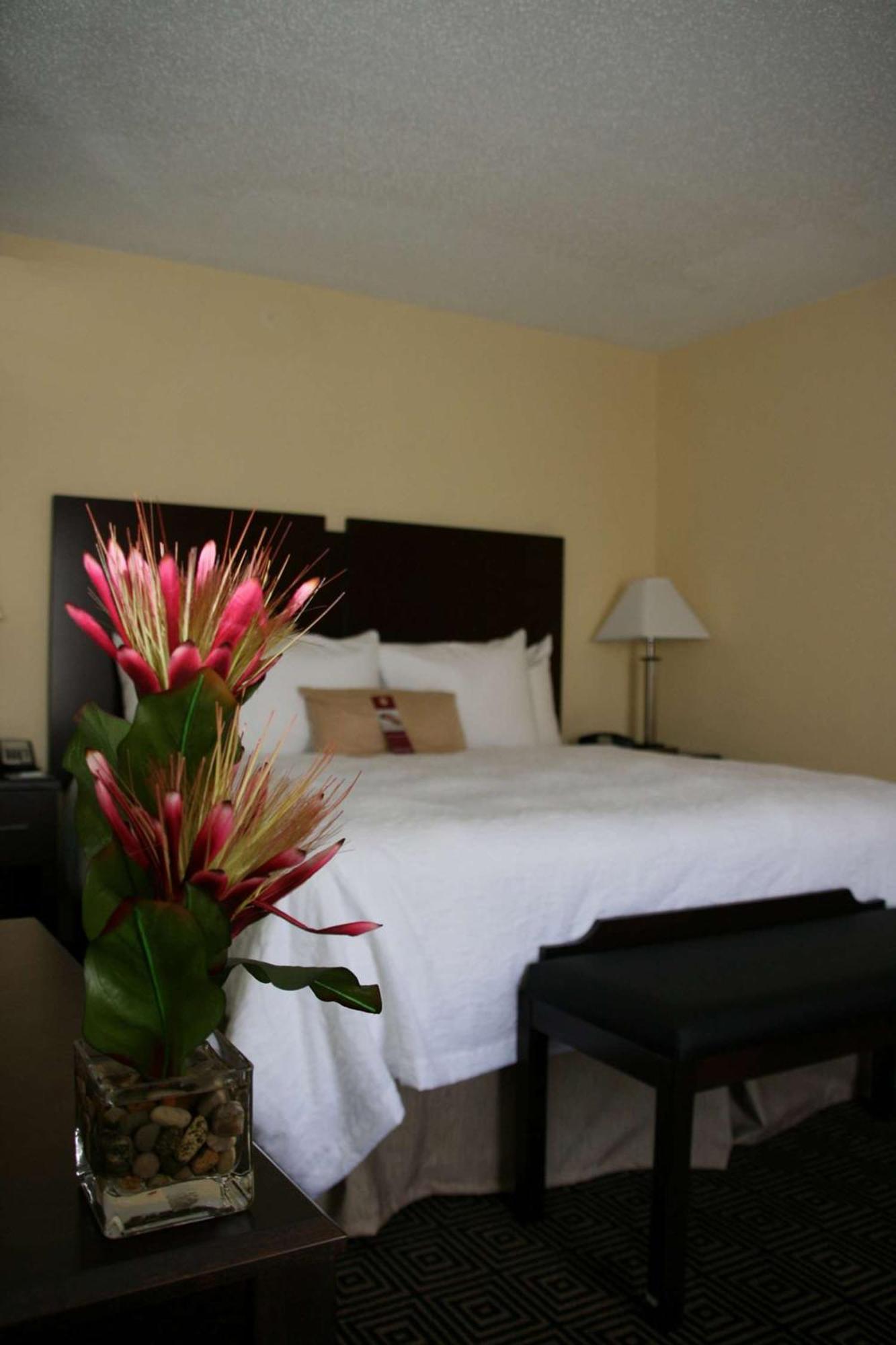Hampton Inn & Suites Orlando-John Young Parkway/South Park Williamsburg Eksteriør bilde